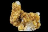 Sunshine Cactus Quartz Crystal Cluster - South Africa #115166-1